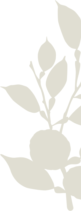 Renue_Plant_Tan